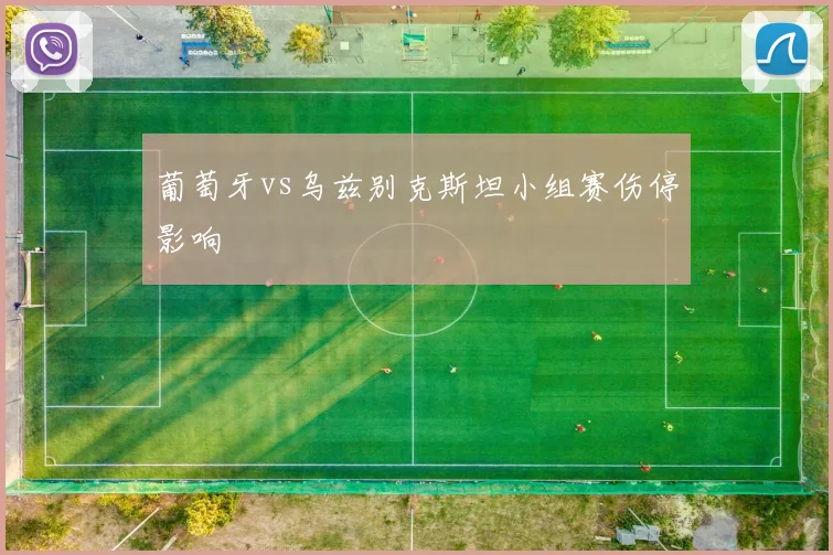 葡萄牙vs乌兹别克斯坦小组赛伤停影响