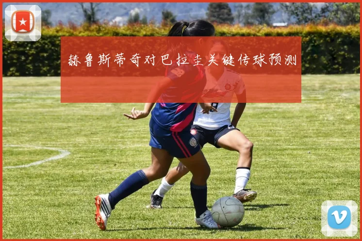 赫鲁斯蒂奇对巴拉圭关键传球预测