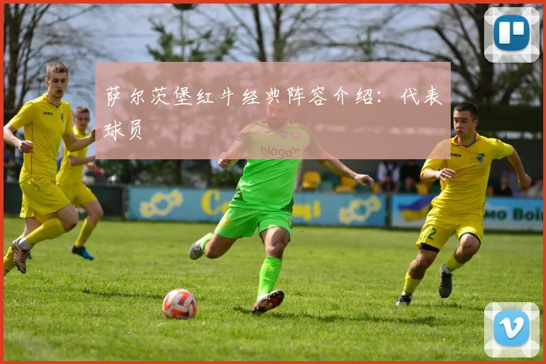 萨尔茨堡红牛经典阵容介绍：代表球员