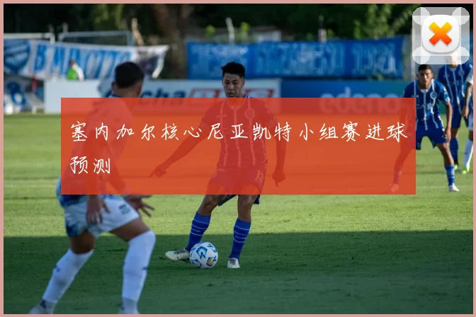 塞内加尔核心尼亚凯特小组赛进球预测