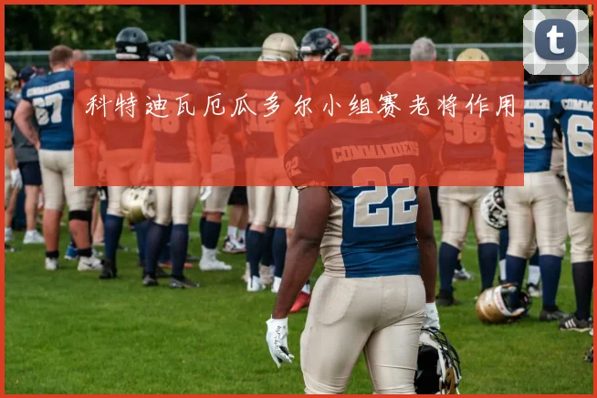 科特迪瓦厄瓜多尔小组赛老将作用