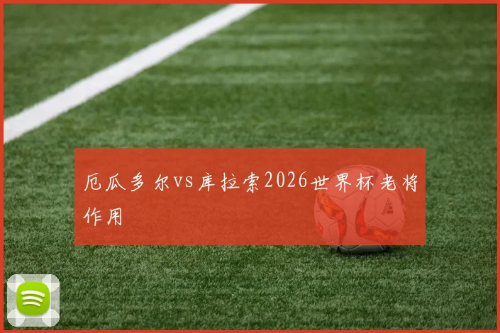 厄瓜多尔vs库拉索2026世界杯老将作用