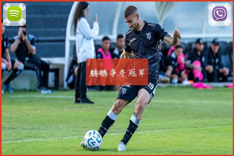 鹈鹕争夺冠军