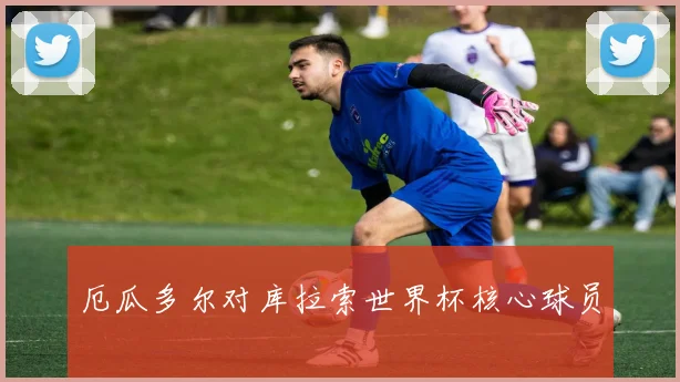 厄瓜多尔对库拉索世界杯核心球员