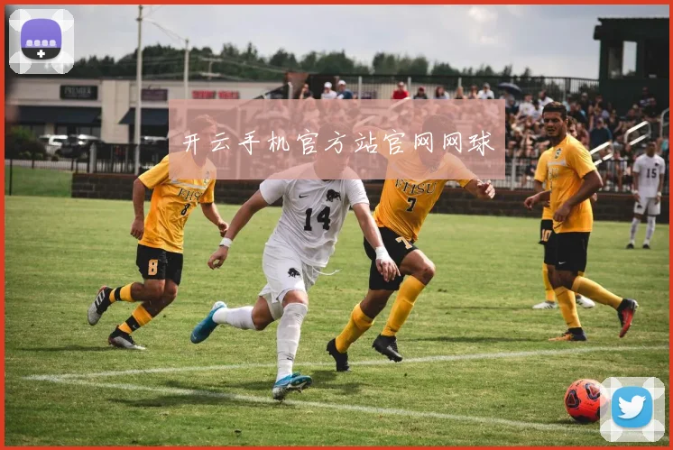 开云手机官方站官网网球