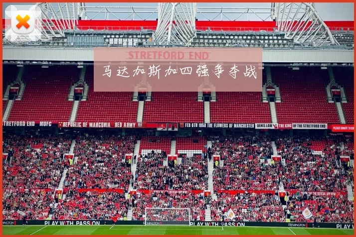 马达加斯加四强争夺战