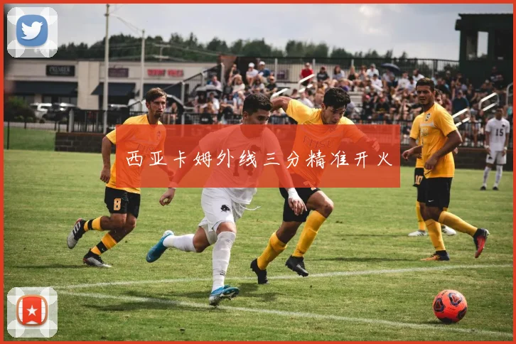 西亚卡姆外线三分精准开火