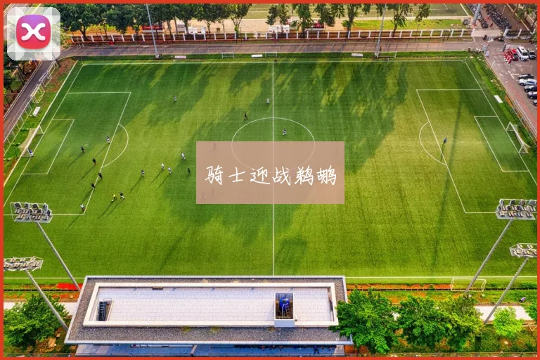 骑士迎战鹈鹕