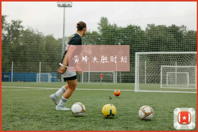 黄蜂决胜时刻