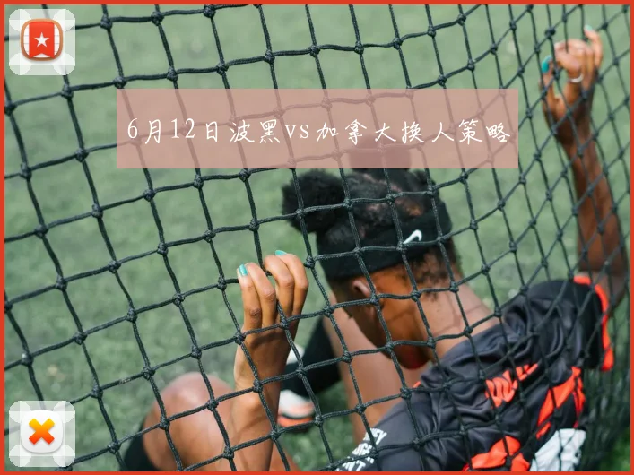 6月12日波黑vs加拿大换人策略