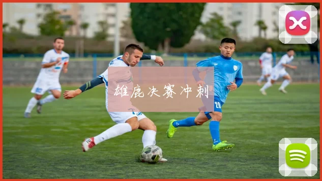 雄鹿决赛冲刺