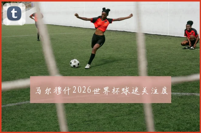 马尔穆什2026世界杯球迷关注度