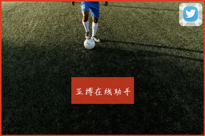 亚搏在线助手