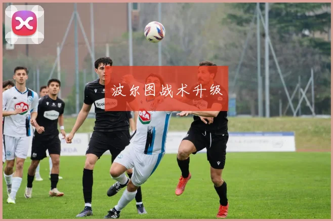波尔图战术升级