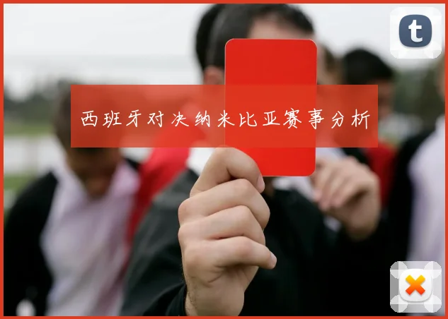 西班牙对决纳米比亚赛事分析
