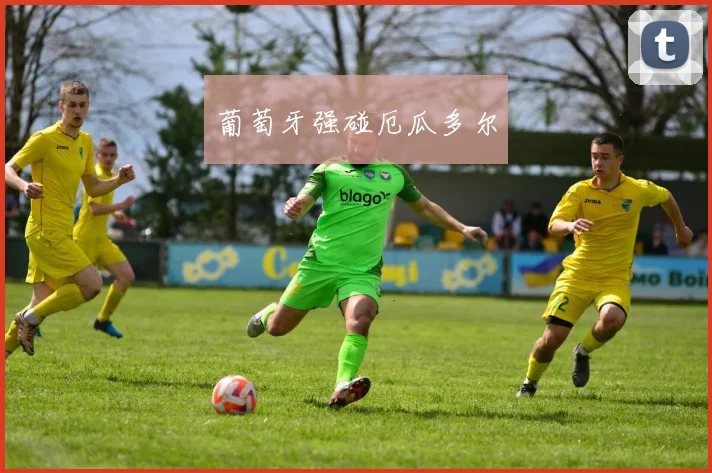 葡萄牙强碰厄瓜多尔