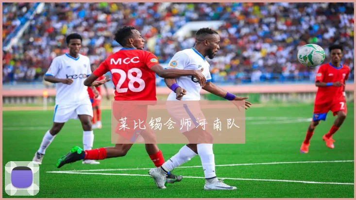 莱比锡会师河南队