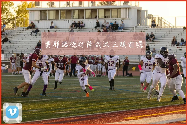 费耶诺德对阵武汉三镇前瞻