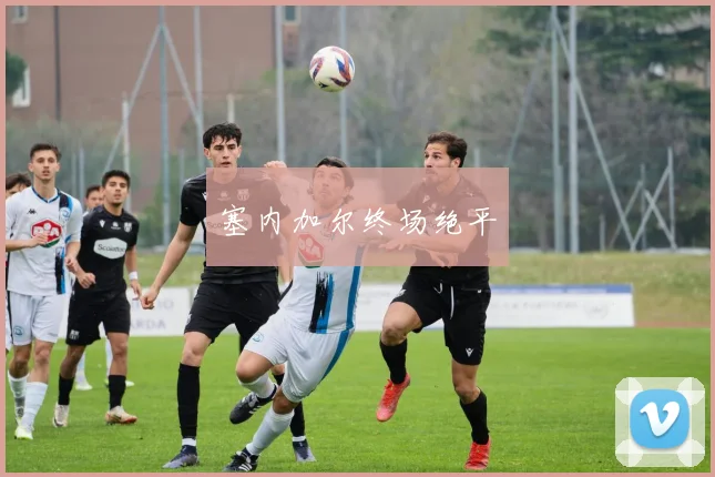塞内加尔终场绝平