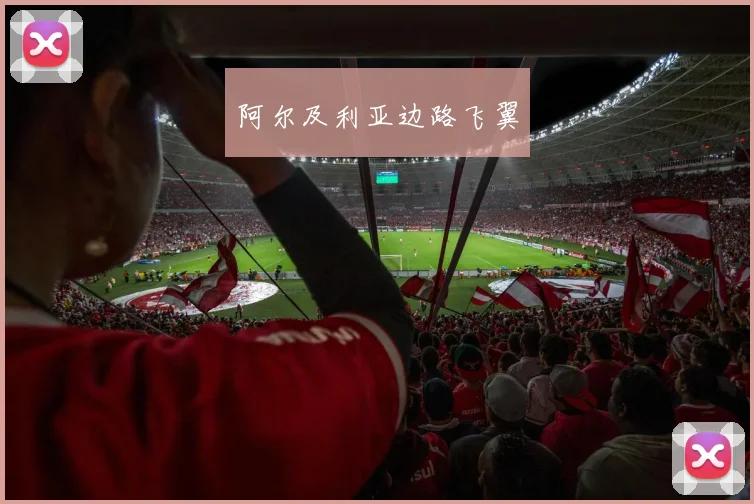 阿尔及利亚边路飞翼