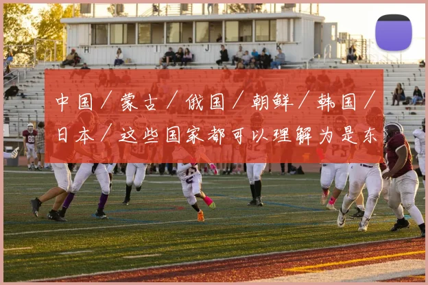 中国／蒙古／俄国／朝鲜／韩国／日本／这些国家都可以理解为是东亚国家
