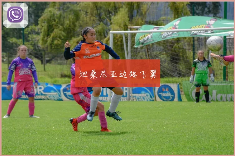坦桑尼亚边路飞翼