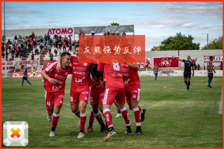 灰熊强势反弹