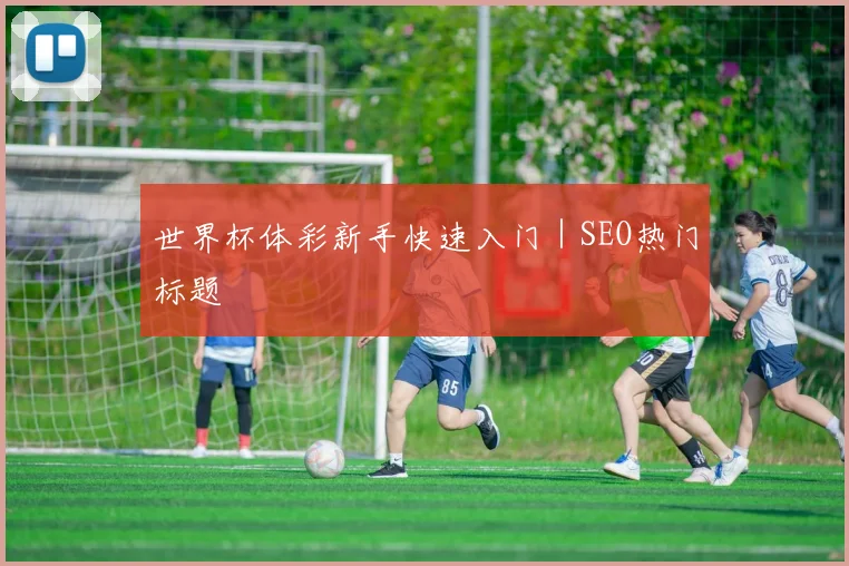 世界杯体彩新手快速入门｜SEO热门标题