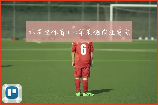 xk星空体育app苹果侧载注意点