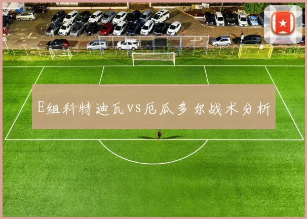 E组科特迪瓦vs厄瓜多尔战术分析